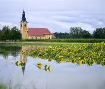苏格兰客场战平斯洛文尼亚，晋级前景堪忧的简单介绍