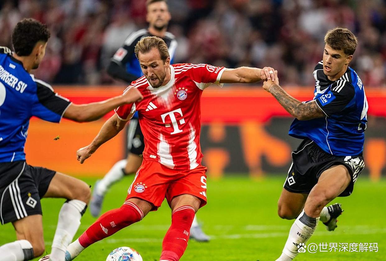 汉堡队伤愈球员回归,力争主场击败对手 汉堡队伤愈球员回归,力争主场击败对手